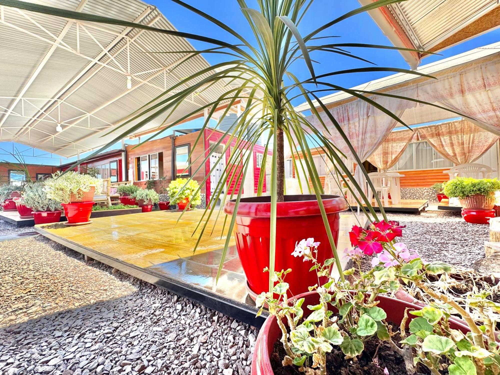 Casa Tiny Lejlighed San Pedro de Atacama Eksteriør billede